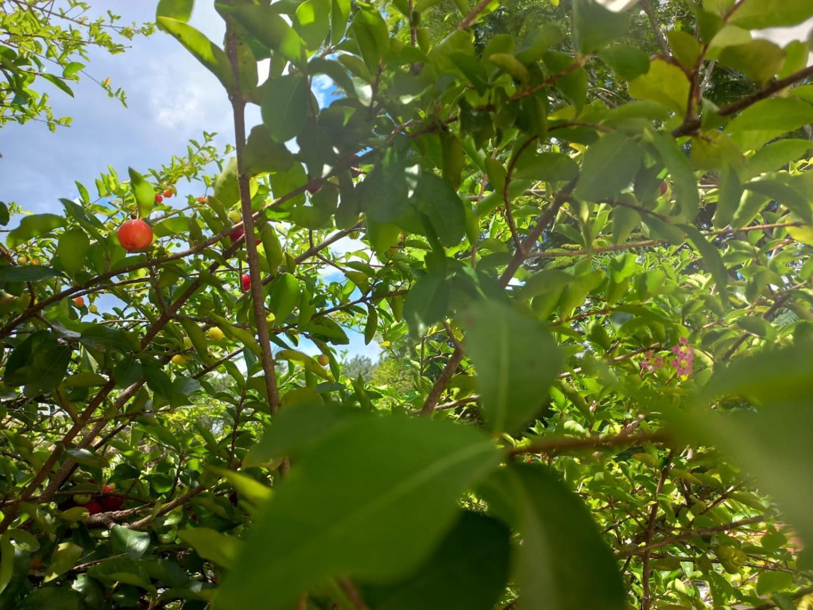 Comunidade Anuncia-Me Guaratinguetá Exterior foto